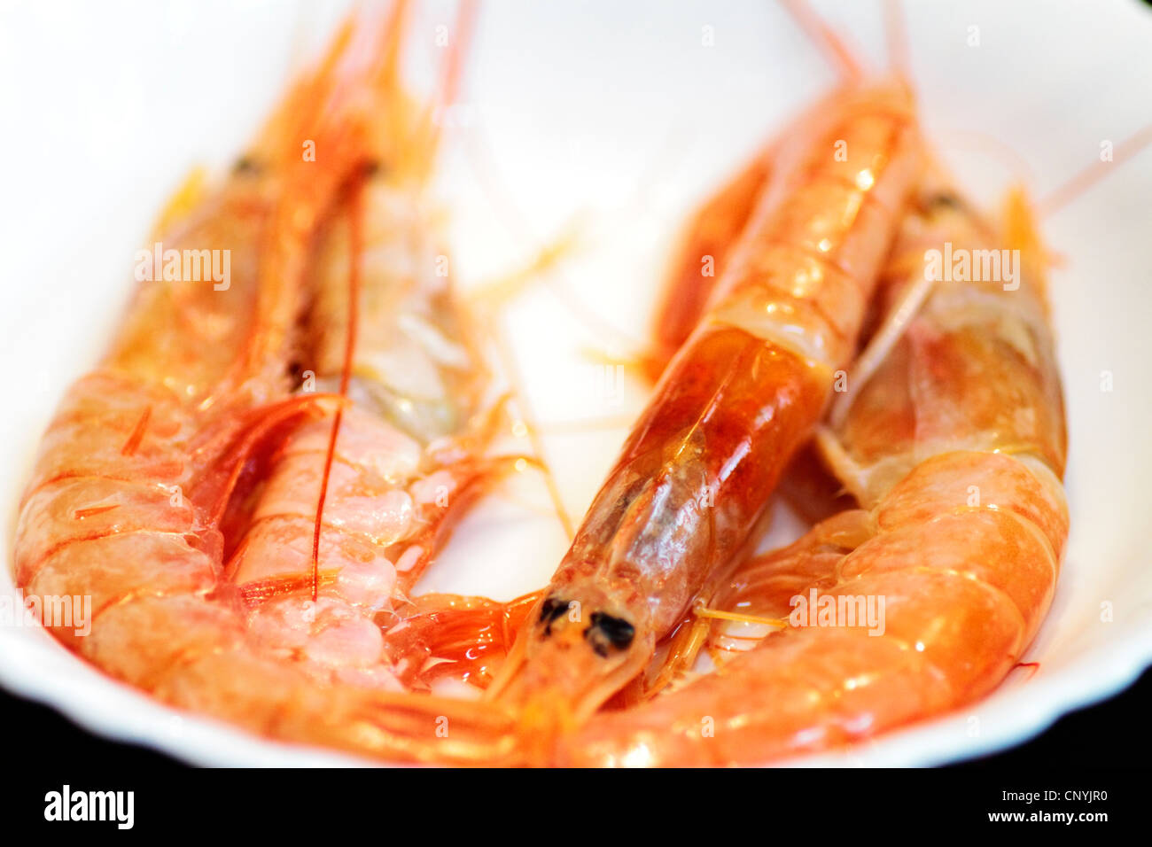 Mariscos, Comida, langostino, crustáceo, snack, cocina, naranja, fritos, preparados, ingrediente, placa, gourmet, delicioso, barbacoa, barbecu Foto de stock