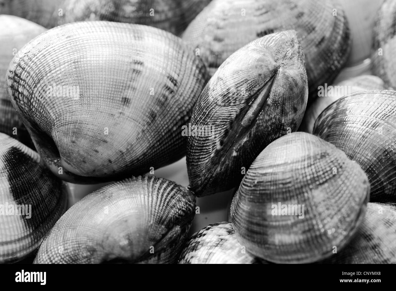 Mariscos, Comida, mariscos, saludable, nutrición, fresco, cocido