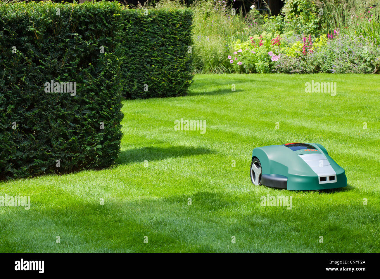 Cortadora de Césped automática Fotografía de stock - Alamy