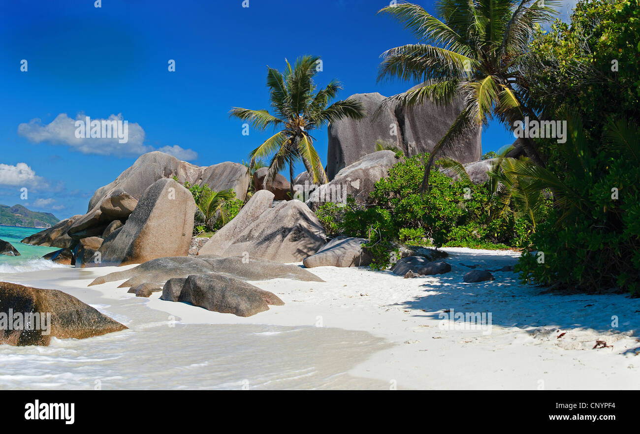Rocas de granito en la playa de Anse Source D Argent, Seychelles Foto de stock