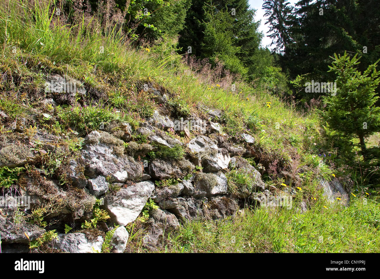 Muro de piedra natural, Alemania Foto de stock
