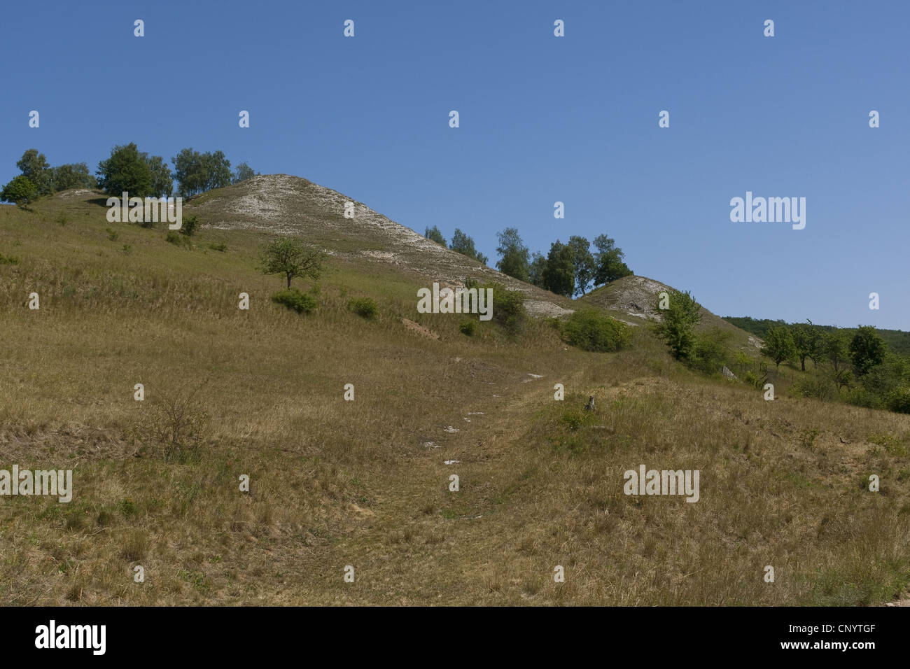 Los pastizales de spouth calcáreos expuestos laderas de montaña Kyffhaeuer, Alemania, Turingia, Kyffhaeuser, Steinthaleben Foto de stock