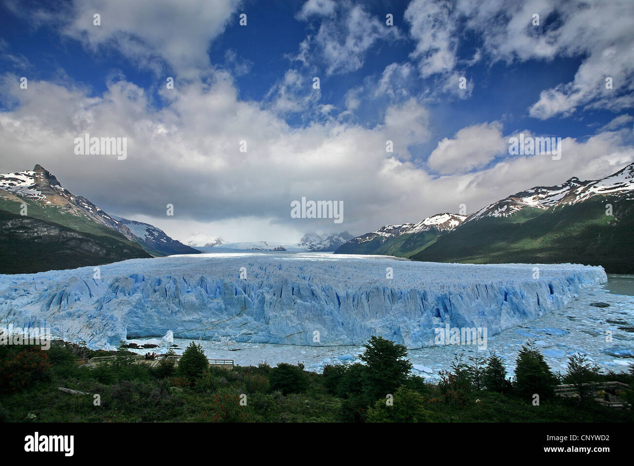 Glaciar Perito Moreno, Argentina, El Parque Nacional Los Glaciares Foto de stock