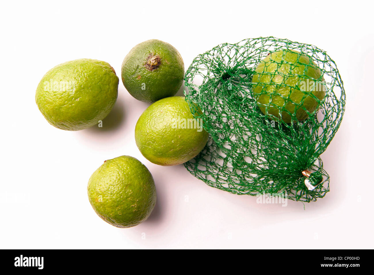 Fruta de limón (Citrus x latifolia), cal fruto en una red Foto de stock