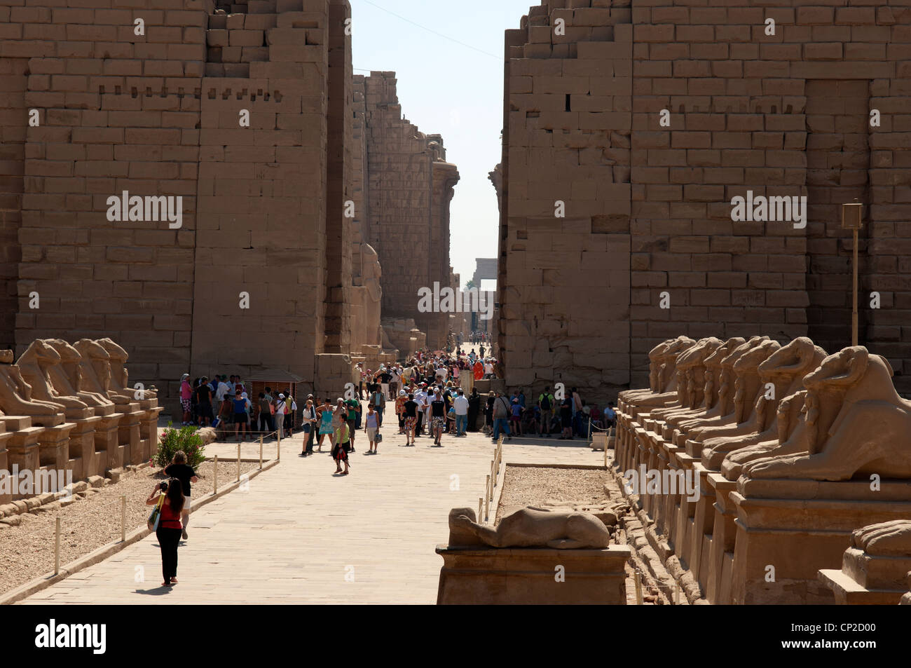 El Primer Pilón del Templo de Karnak Luxor con las líneas de cabras esfinges de cabeza. Foto de stock