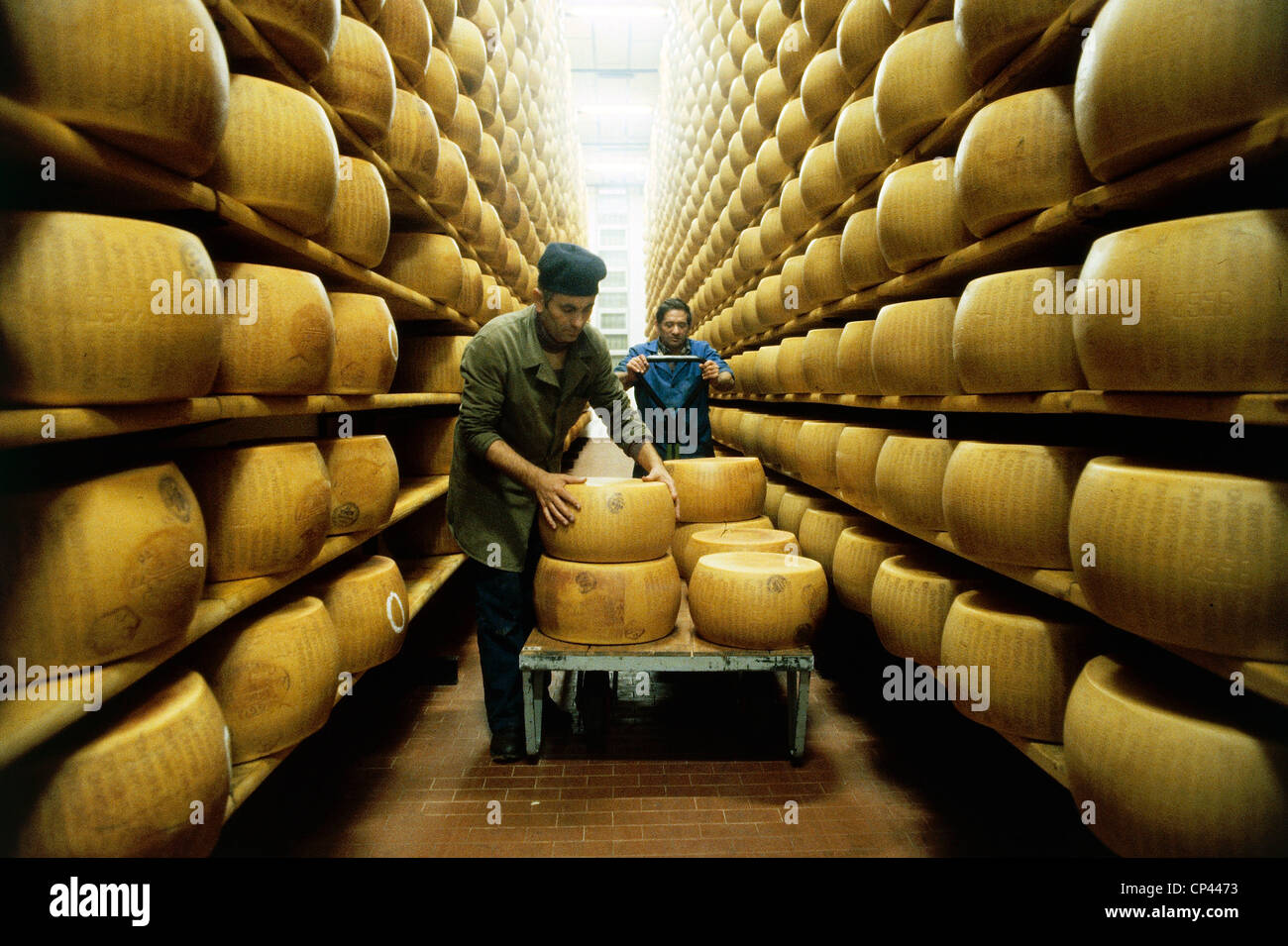 Emilia Romagna - Producción de Parmigiano Reggiano. Control de la maduración del queso. Foto de stock