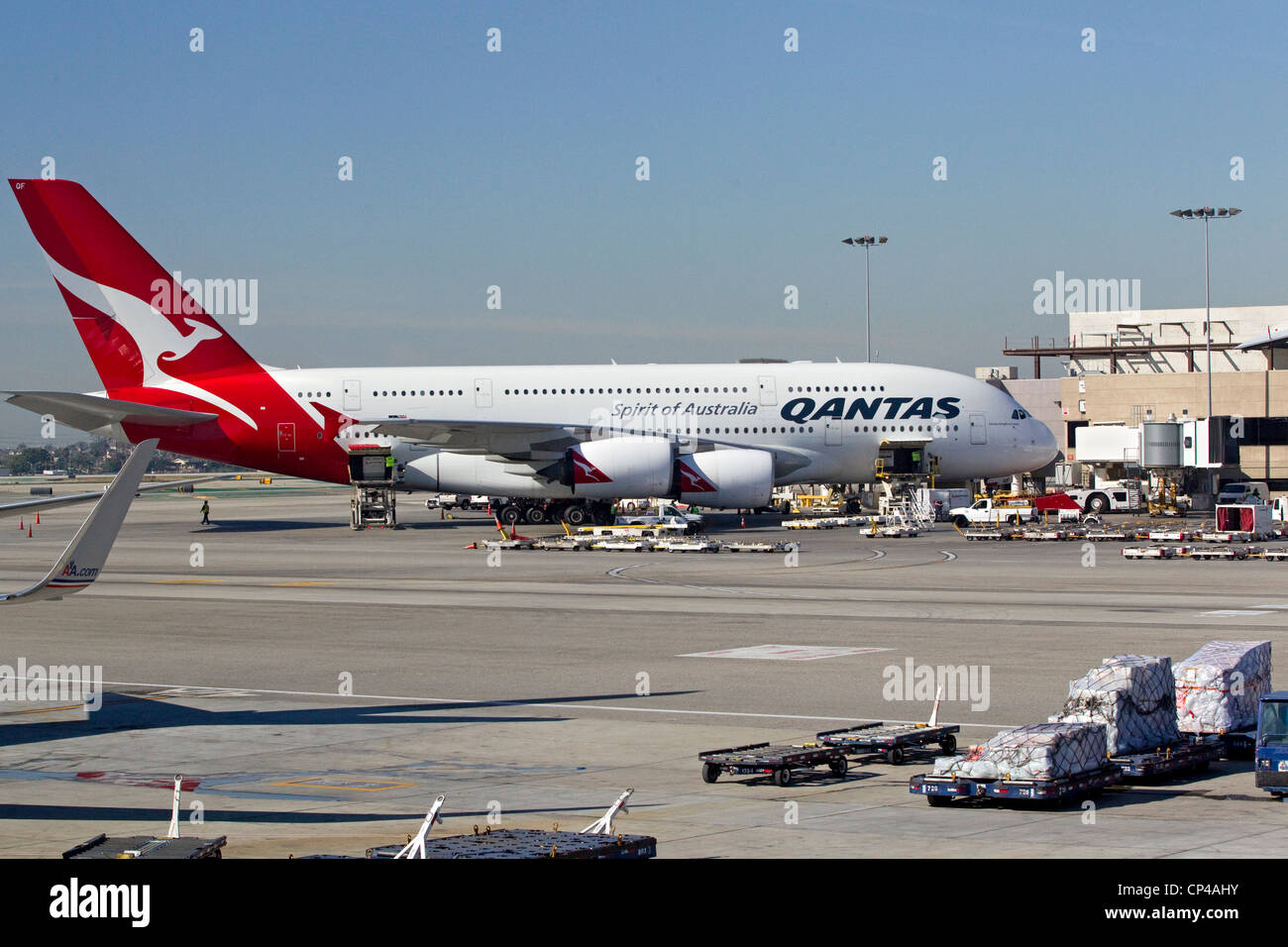 Qantas Airlines en la terminal del aeropuerto, el aeropuerto