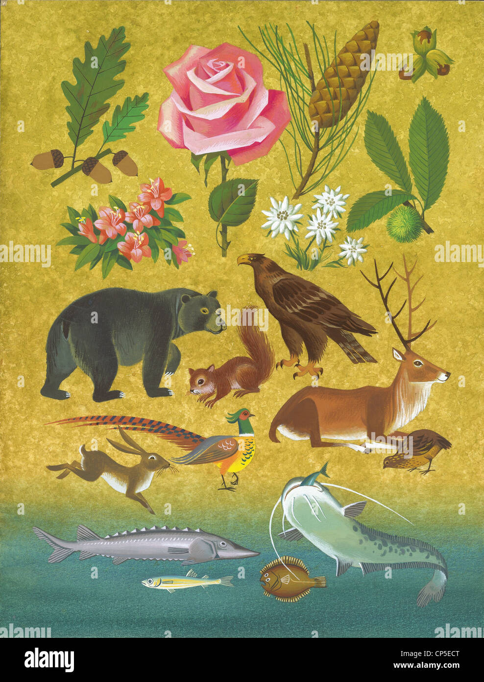 Bulgaria, la fauna y la flora. Las principales especies en la zona. Pintura  del café Fotografía de stock - Alamy