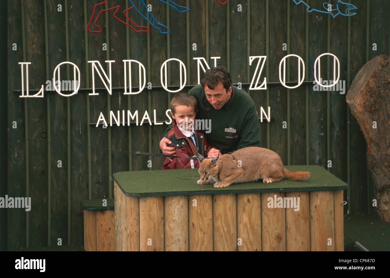 Reino Unido Inglaterra London, el Zoo de Londres. Un siervo muestra