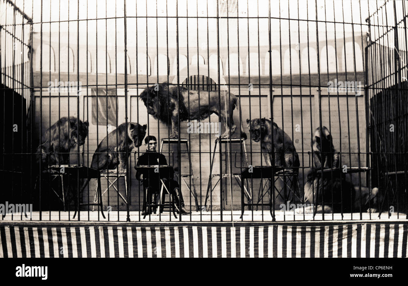 Aburrido domador de leones en la jaula de los Leones Fotografía de stock -  Alamy
