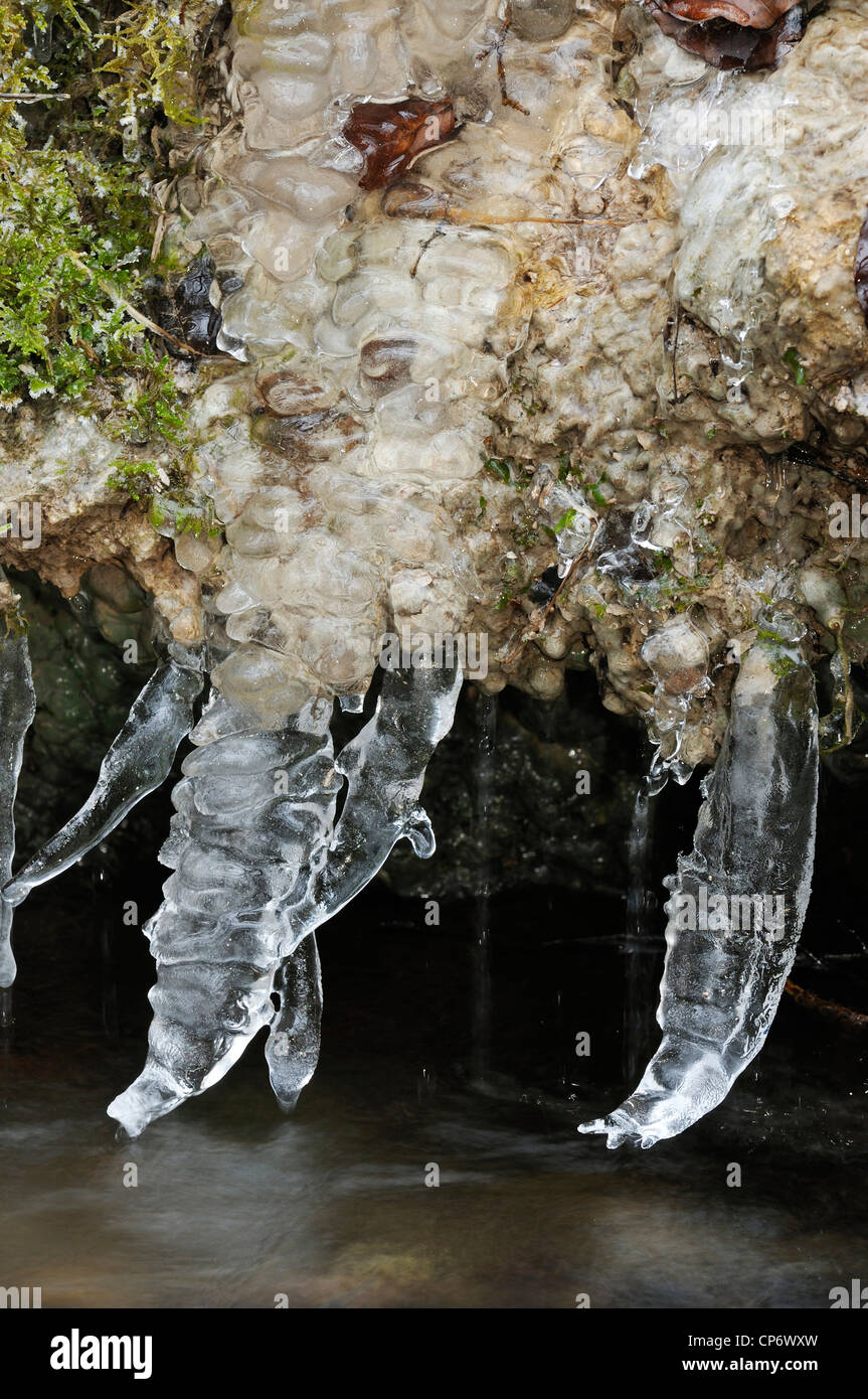 Corrientes de hielo en el Cotswold Woodland, Brook, madera Midger Kilcott Foto de stock