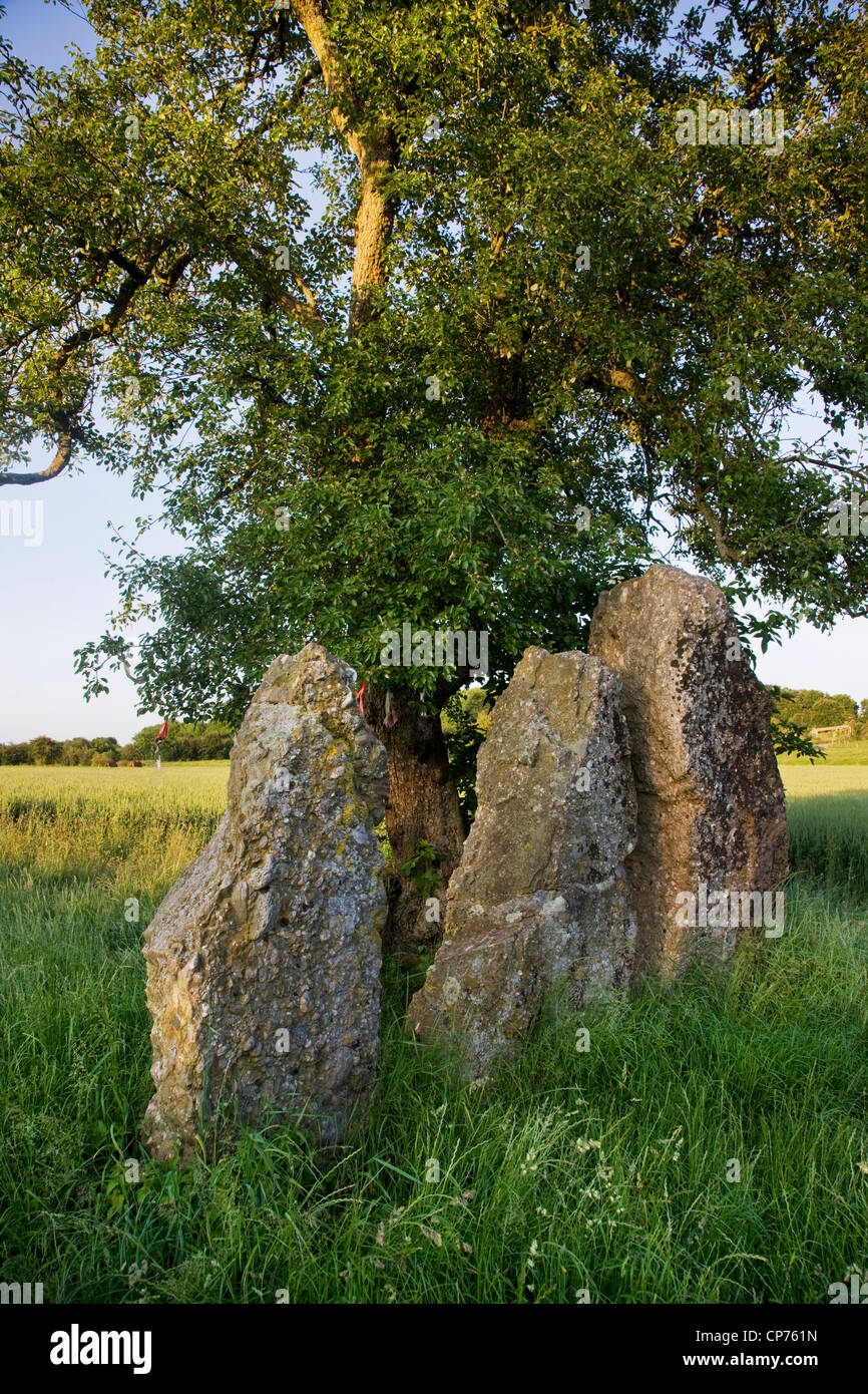 Las 3 piedras / menhires de Oppagne cerca Wéris, Ardenas Belgas, Luxemburgo, Bélgica Foto de stock