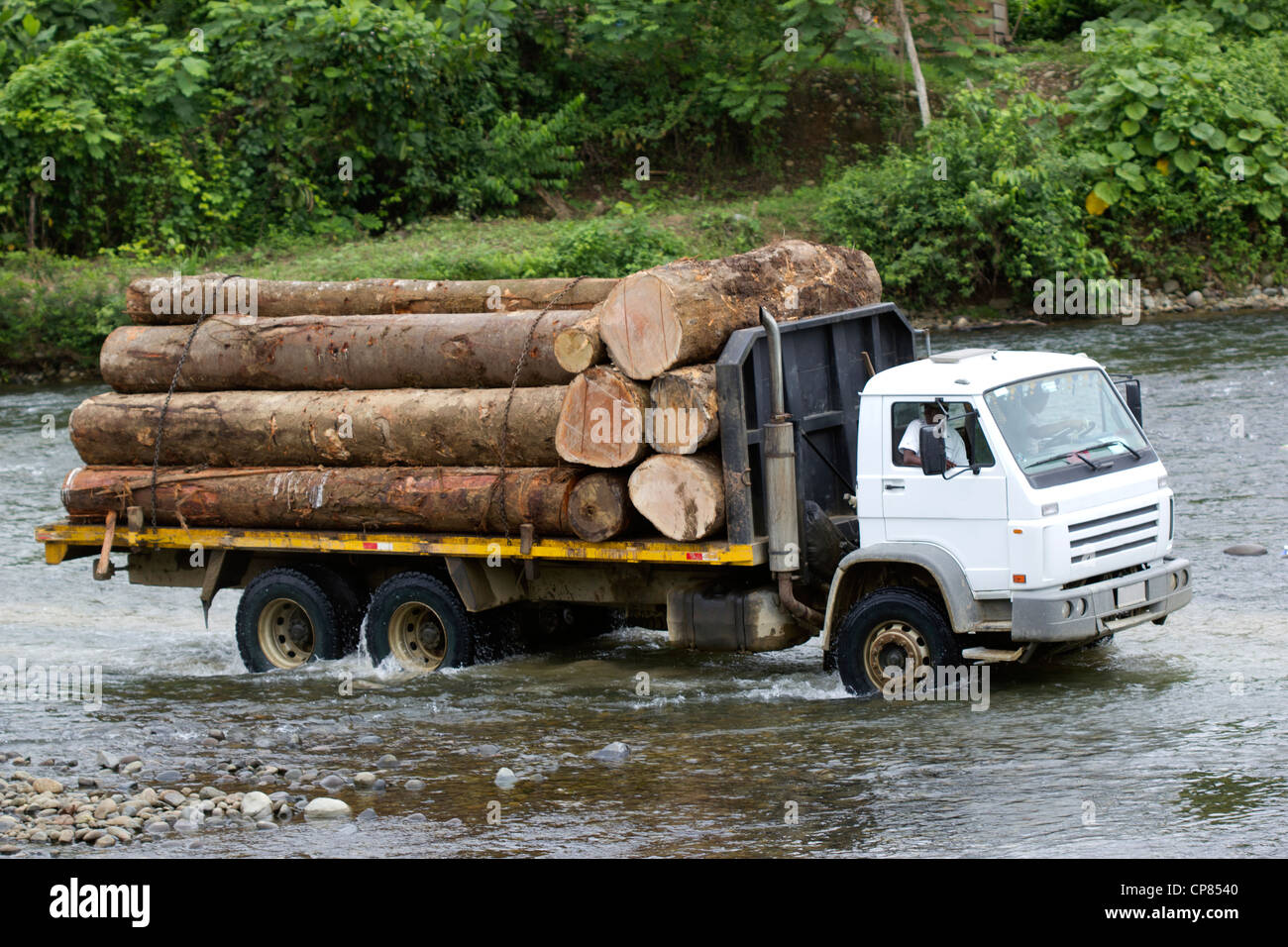 Camión de registro teniendo la madera fuera de la Amazonía de Ecuador Foto de stock