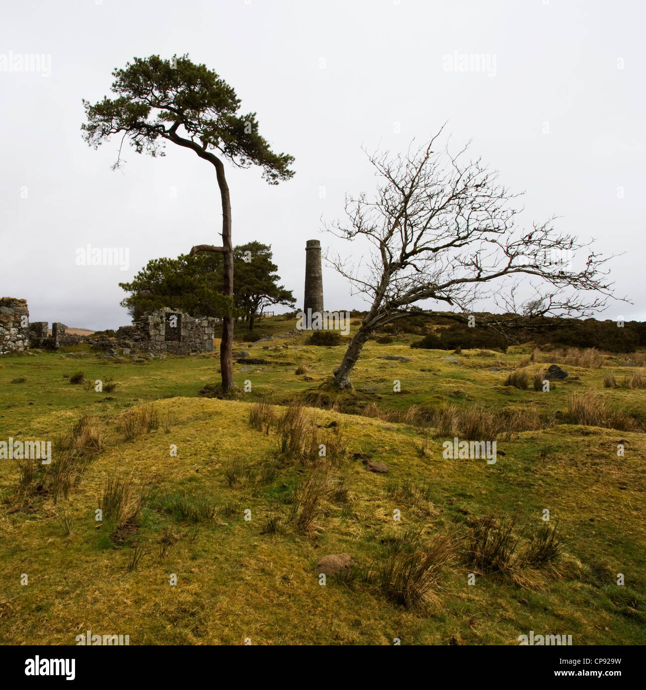 Vista del edificio permanece y una chimenea de la Powdermills en Dartmoor, Devon, Reino Unido Foto de stock