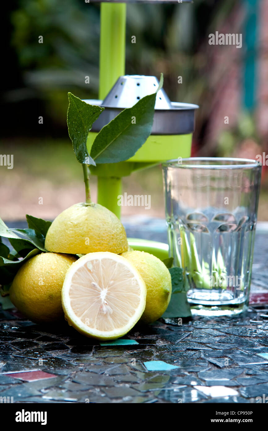 El jugo de limón y el limón sobre un tablero de ajedrez Foto de stock