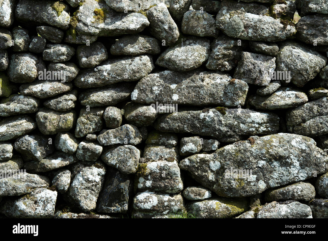 Muro de piedra seca, el parque nacional de Dartmoor, Devon, Inglaterra Foto de stock