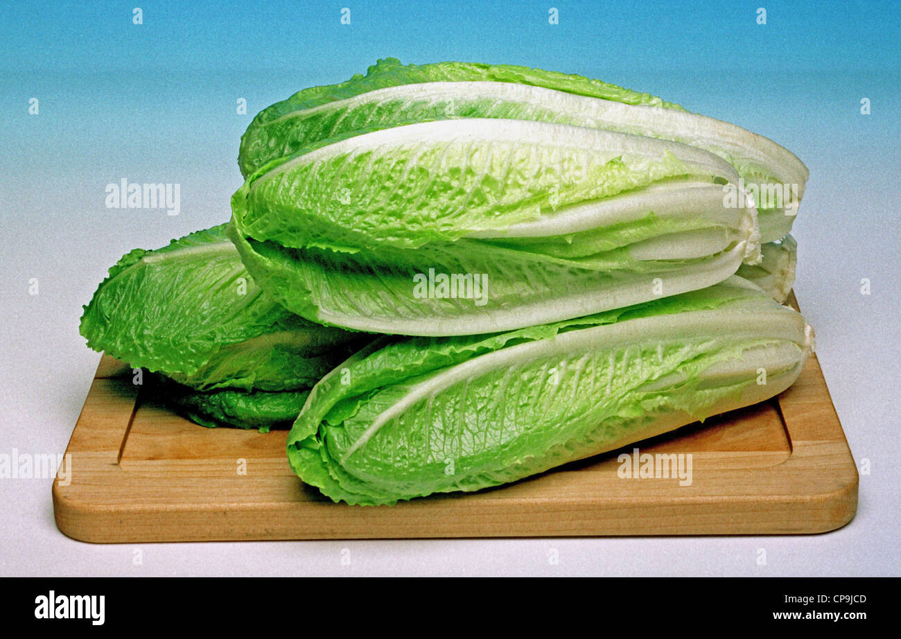 Orgánicos vegetales Ensalada de lechuga costina Fotografía de stock - Alamy
