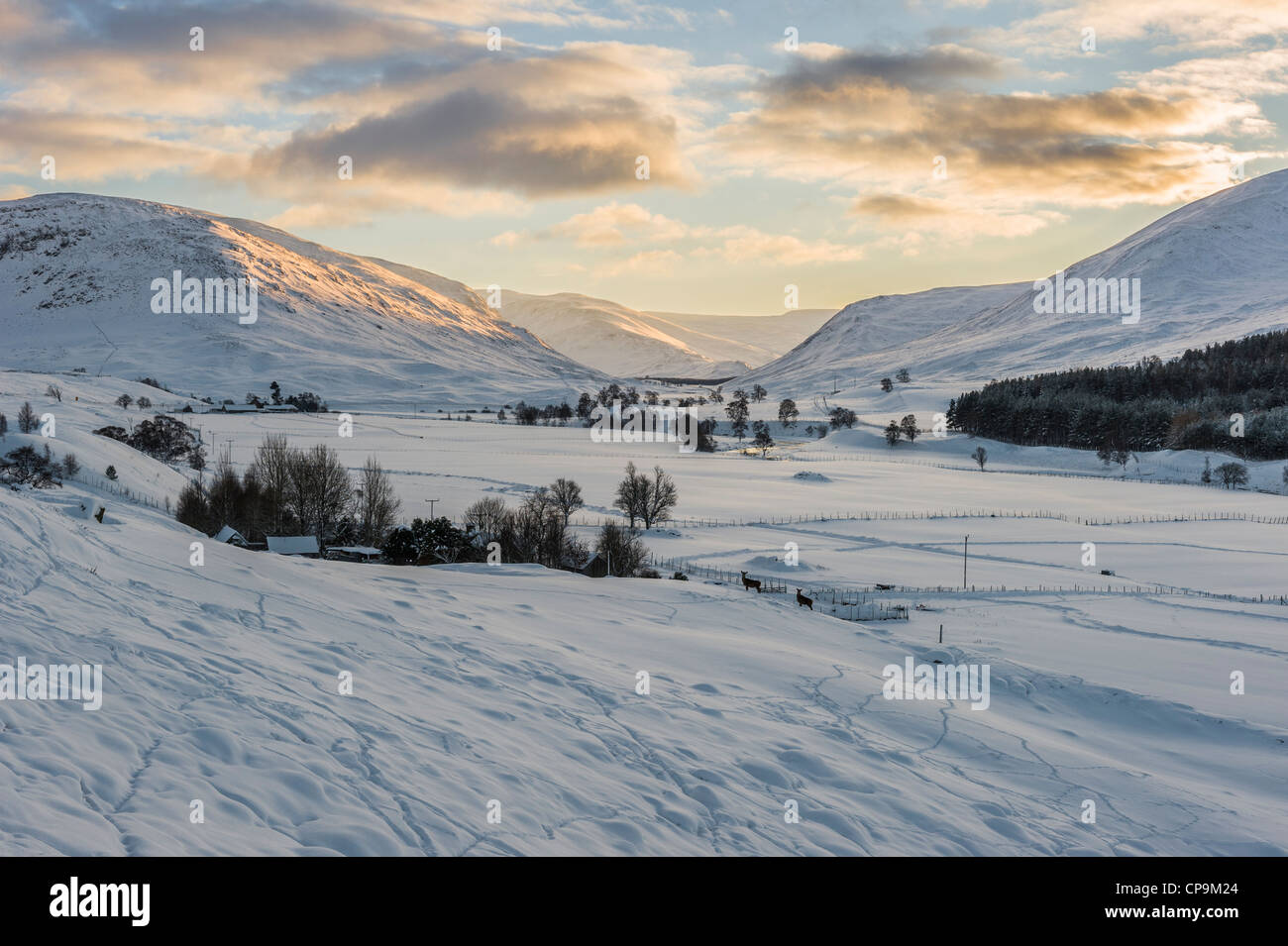 Atardecer en Glen Clunie en invierno, Cairngorms, Scotland, Reino Unido Foto de stock