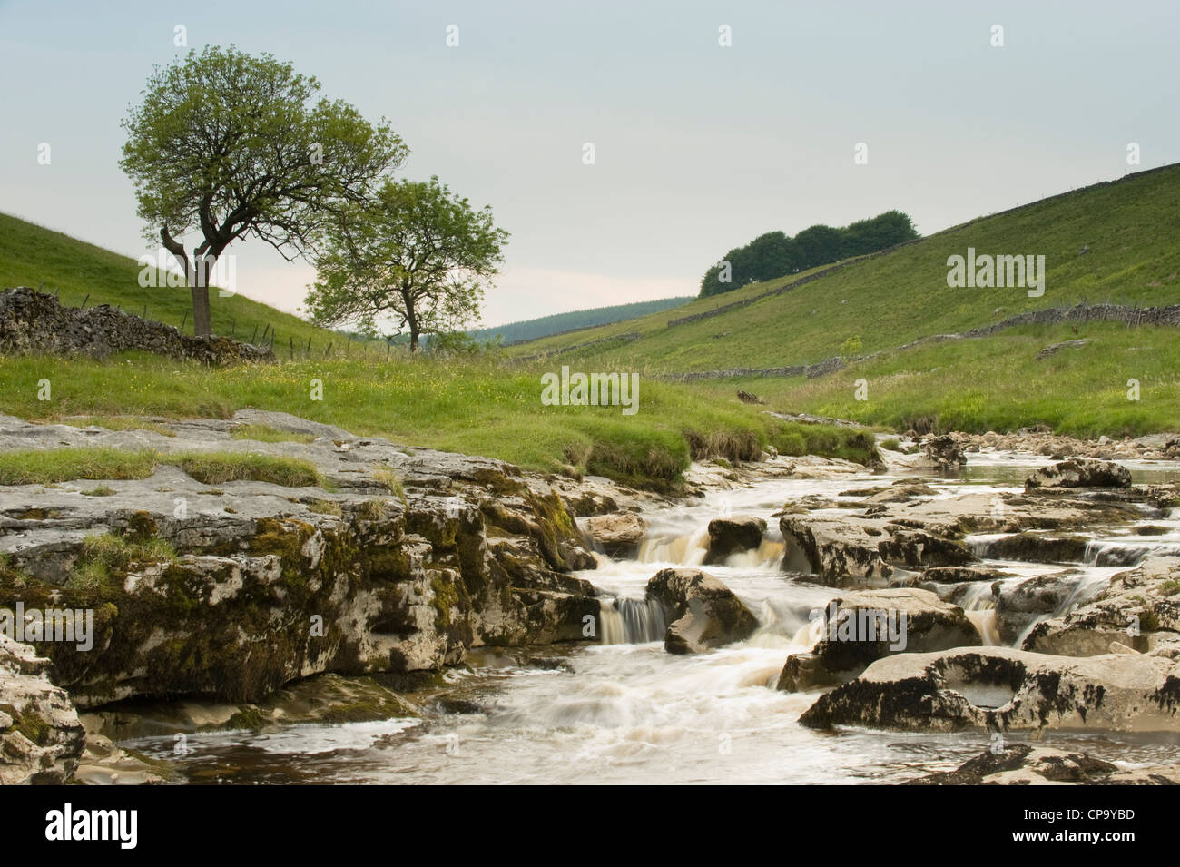 Río Wharfe, fluyendo a través de tranquilo pintoresco estrecho valle en forma de v, cascada sobre rocas calizas - Langstrothdale, Valles de Yorkshire, Inglaterra, Reino Unido. Foto de stock