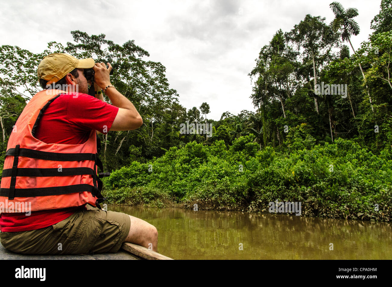 Observación de aves con binoculus cuenca Amazónica Ecuador Sudamérica Foto de stock