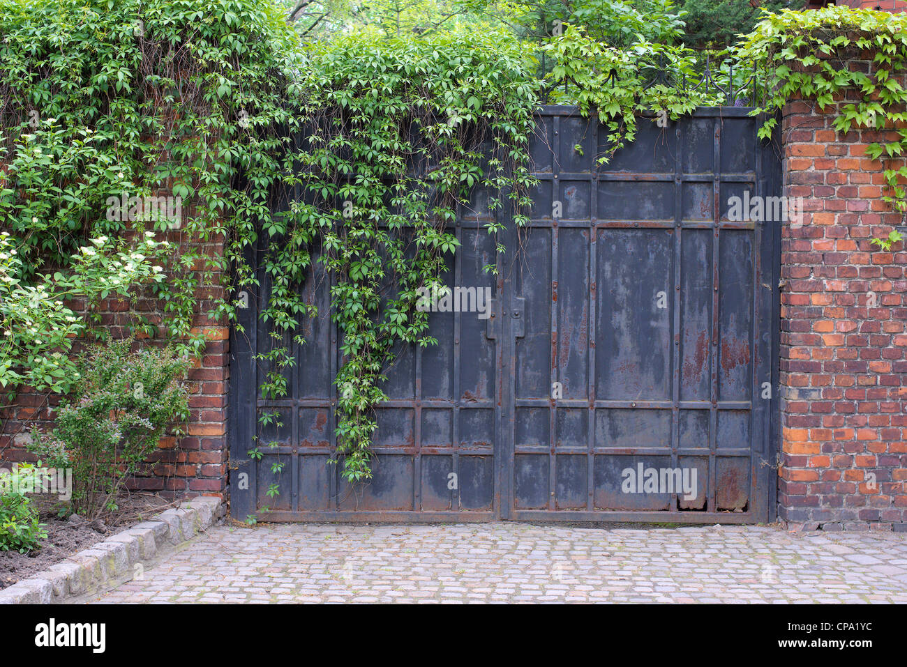 Cerrado el portón de hierro antiguo cubierto con reductor Ostrow Tumski Wroclaw Foto de stock