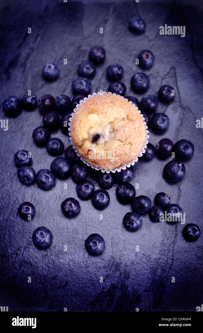 Blueberry muffins con arándanos en azul pizarra Foto de stock