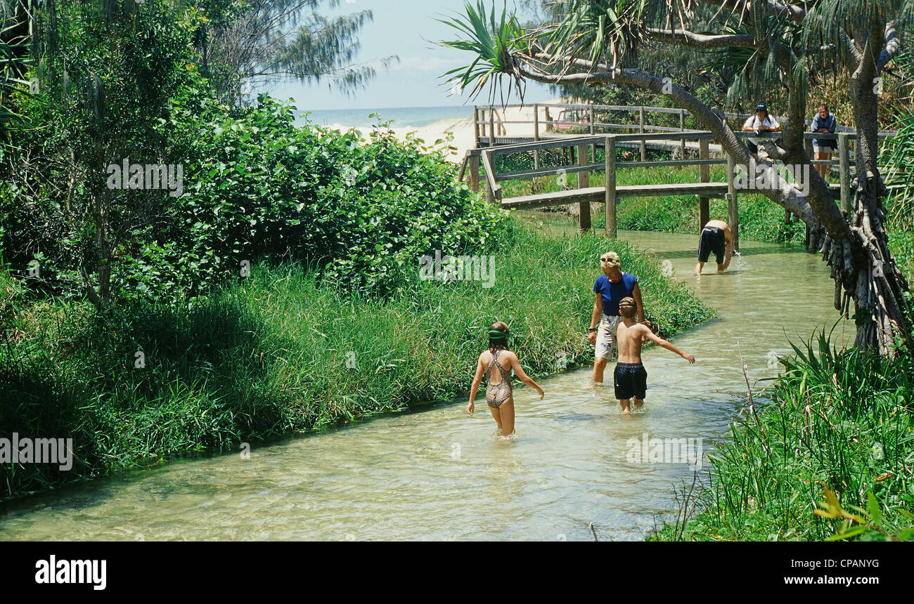 La gente caminando por las aguas de Eli Creek cerca de las playas del este de la isla Fraser, sitio del patrimonio mundial de la UNESCO de Queensland Foto de stock