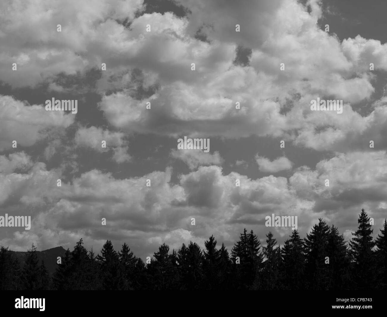 Paisaje de madera, cielo nublado, Osser montaña, bosque bávaro / Waldlandschaft, bewölkter Himmel, Berg Osser, Bayerischer Wald Foto de stock