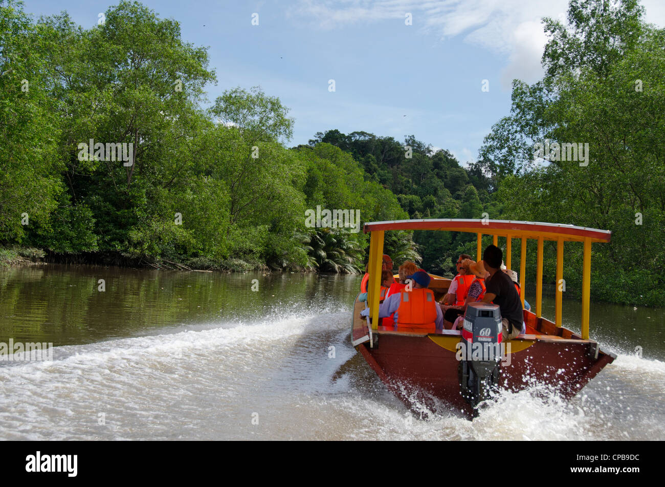 Borneo, Brunei. densos bosques de manglares a lo largo del río Brunei no lejos de la ciudad capital, Bandar Seri Begawan. Foto de stock