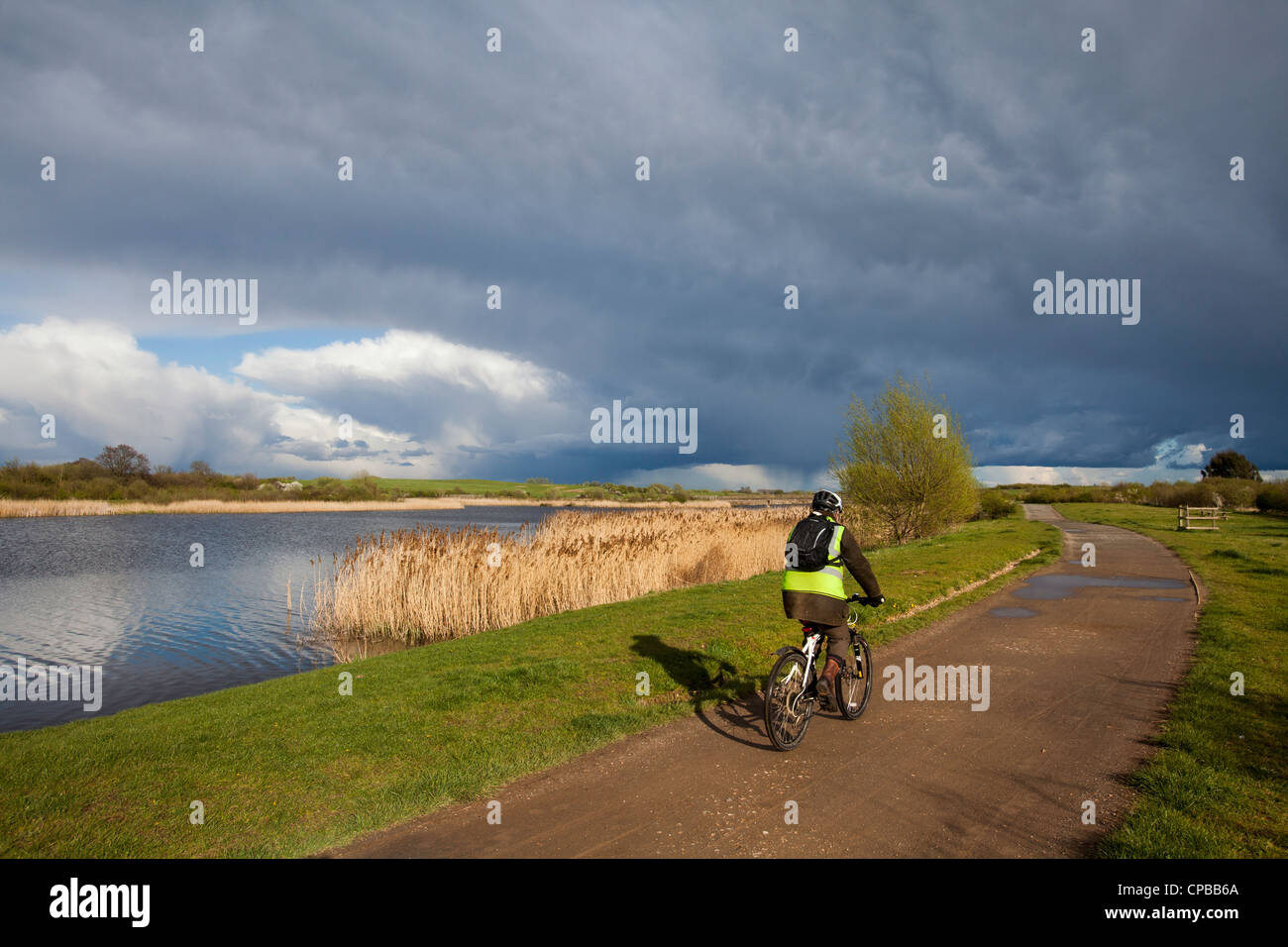 Un ciclista en la ruta ciclista nacional que corre a lo largo de río jubilar en Dorney, Buckinghamshire, REINO UNIDO Foto de stock