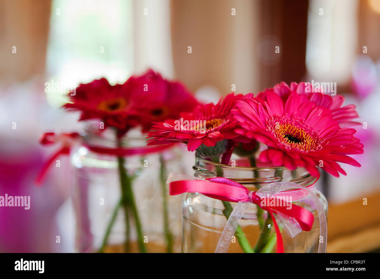 Gerberas rosa en un jarrón, un jarro de mermelada de vidrio. Reflejado en un espejo Foto de stock