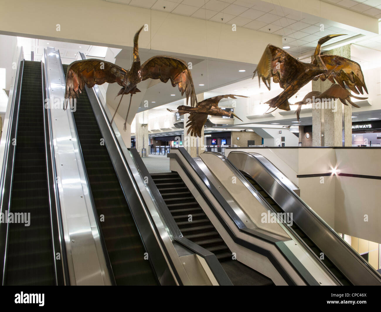 aeropuerto internacional de tampa zona de operaciones c