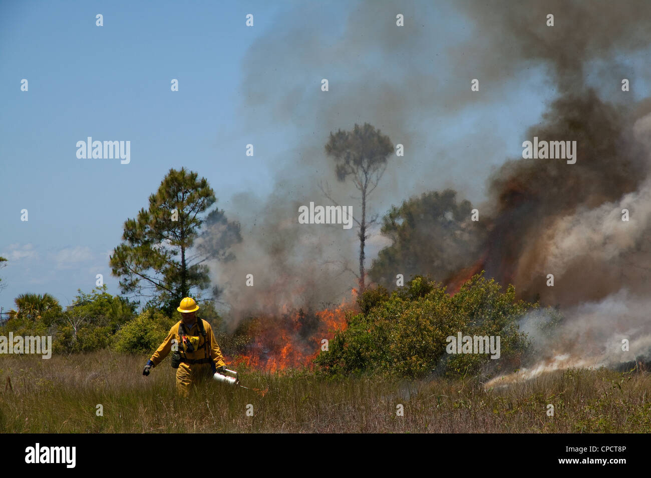 Guardabosque Slash iluminación pinar Pinus elliottii sobre incendios, quemas controladas, Florida, EE.UU. Foto de stock