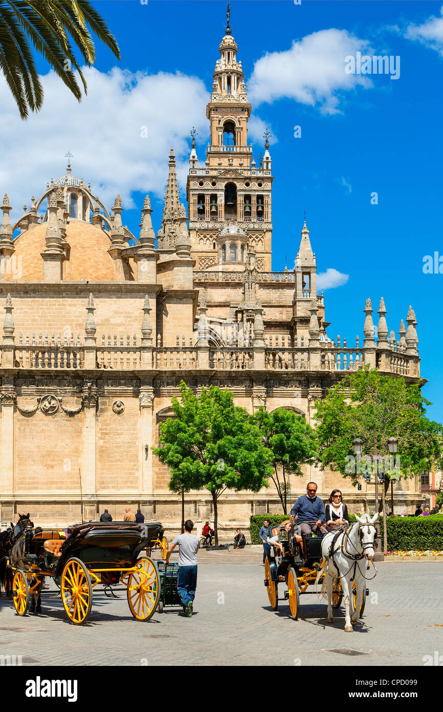 Europa, España, Andalucía, Sevilla, carruajes a caballo en frente de la Catedral de Sevilla Foto de stock