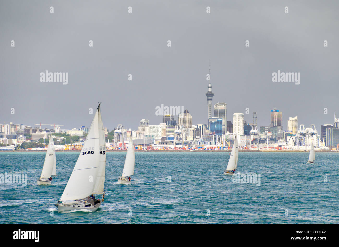 Auckland, North Island, Nueva Zelanda, el Pacífico Foto de stock