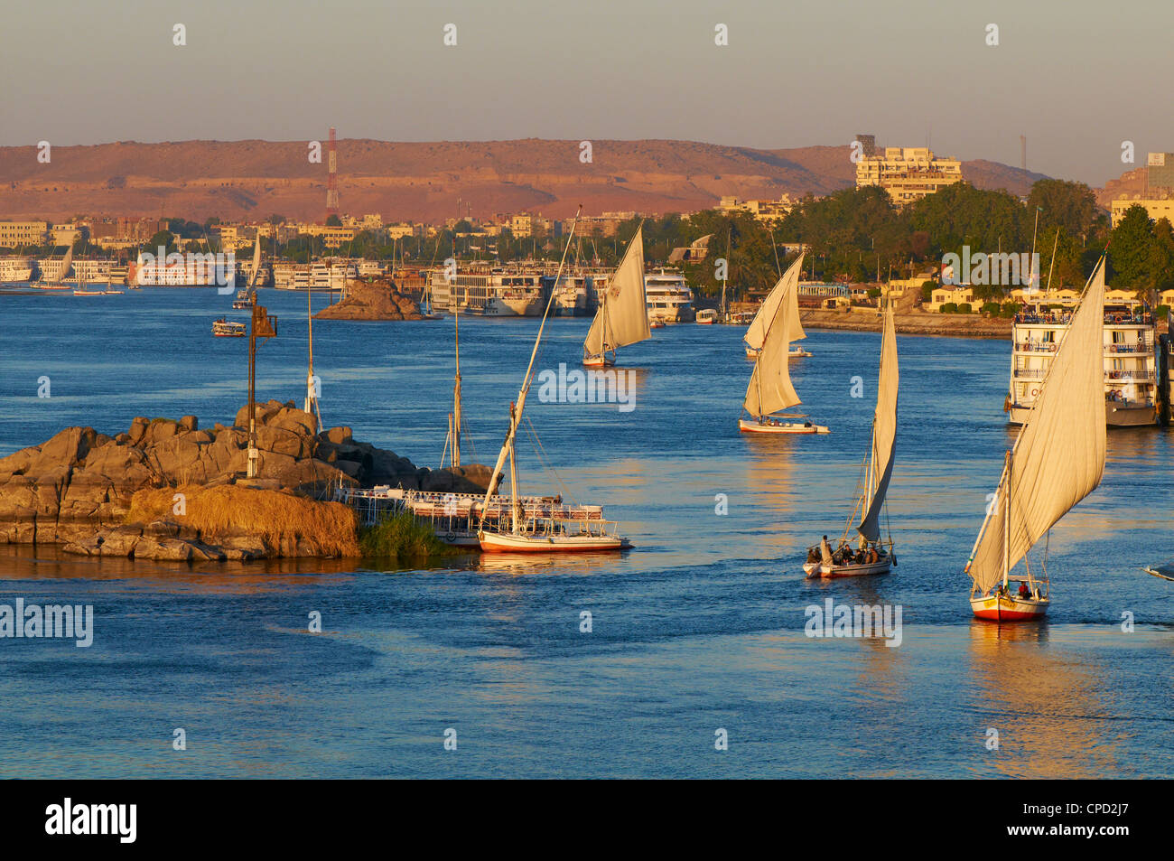 Feluchos en el río Nilo, en Asuán, Egipto, el Norte de África, África Foto de stock
