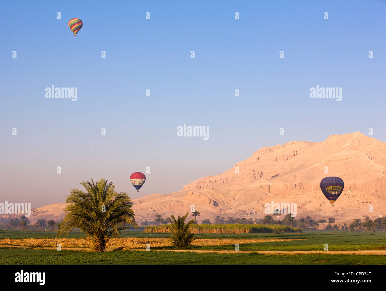 Los globos de aire caliente suspendida sobre campos verdes y palmeras, cerca de Luxor, Tebas, Egipto, el Norte de África, África Foto de stock