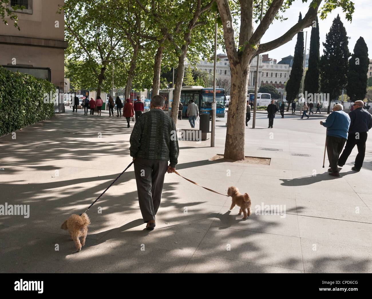Sacar a pasear perros en la Ronda de Atocha, el centro de Madrid, España  Fotografía de stock - Alamy