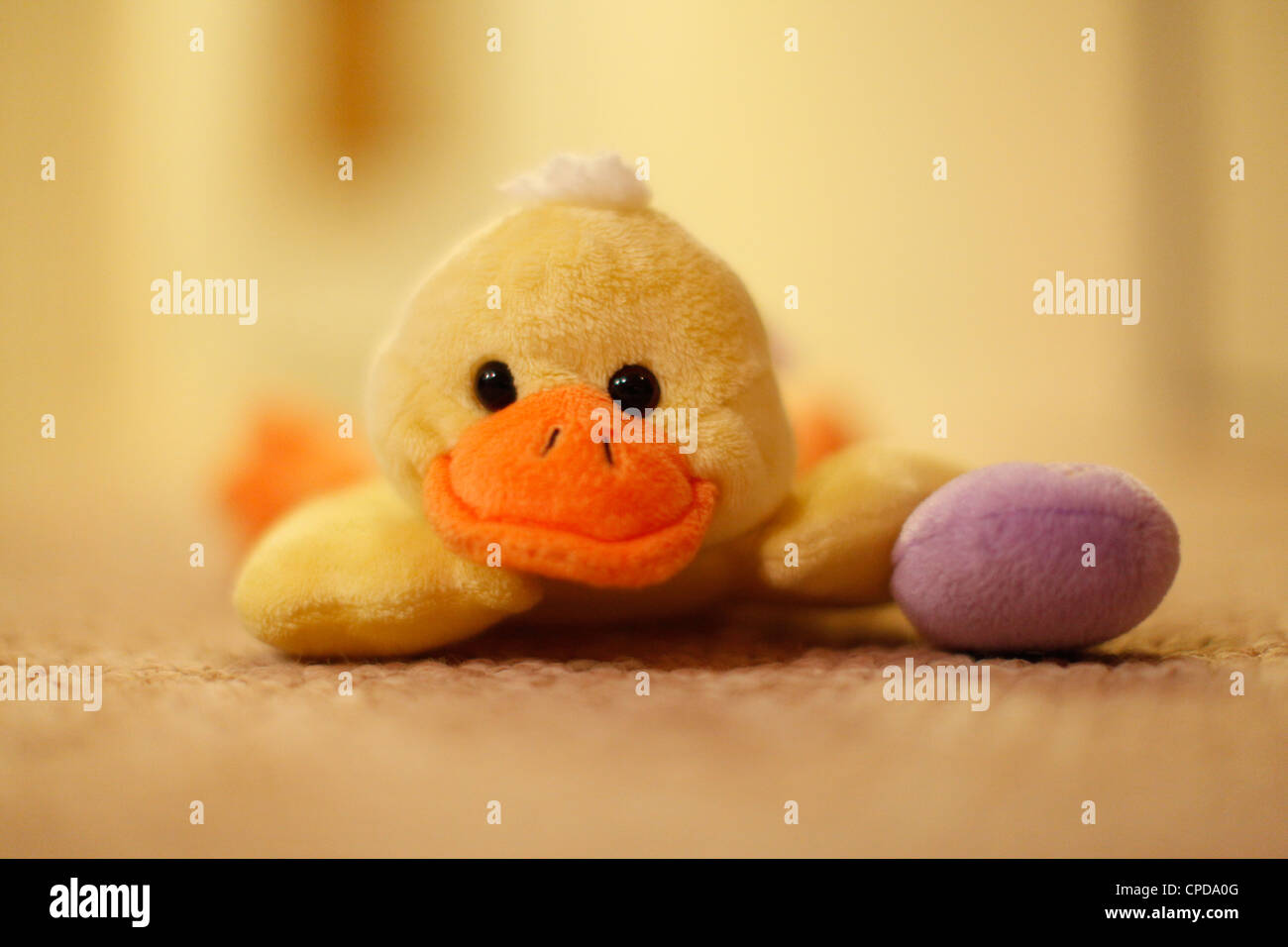 Pato de peluche Foto de stock