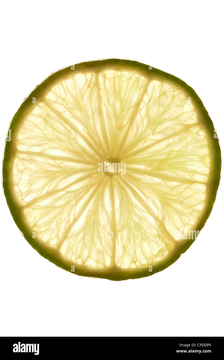 Macro foto de una rodaja de limón en la luz transmitida Foto de stock