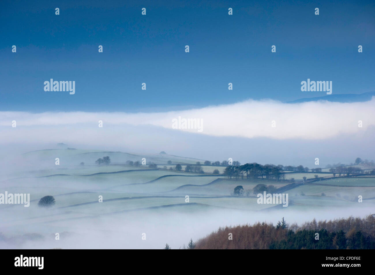 Niebla invernal, Eden Valley, baje los Peninos, Cumbria, Inglaterra, Reino Unido, Europa Foto de stock
