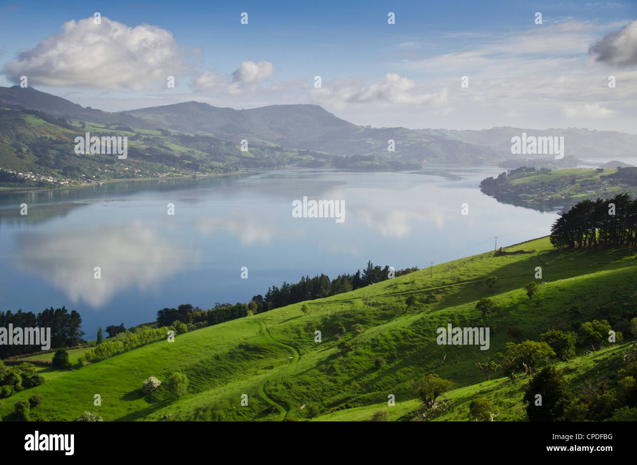 Puerto de Otago, la Península de Otago, Otago, Isla del Sur, Nueva Zelanda, el Pacífico Foto de stock