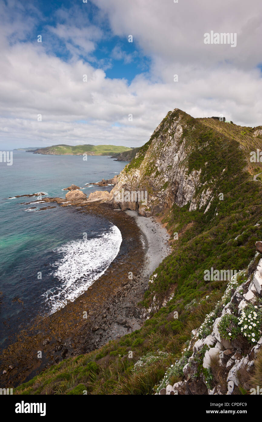 Nugget Point, Otago, Isla del Sur, Nueva Zelanda, el Pacífico Foto de stock