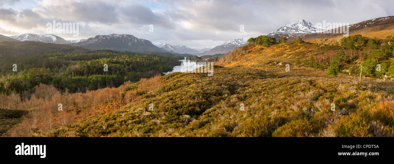 Amanecer en Glen Affric, Highlands, Scotland, Reino Unido Foto de stock