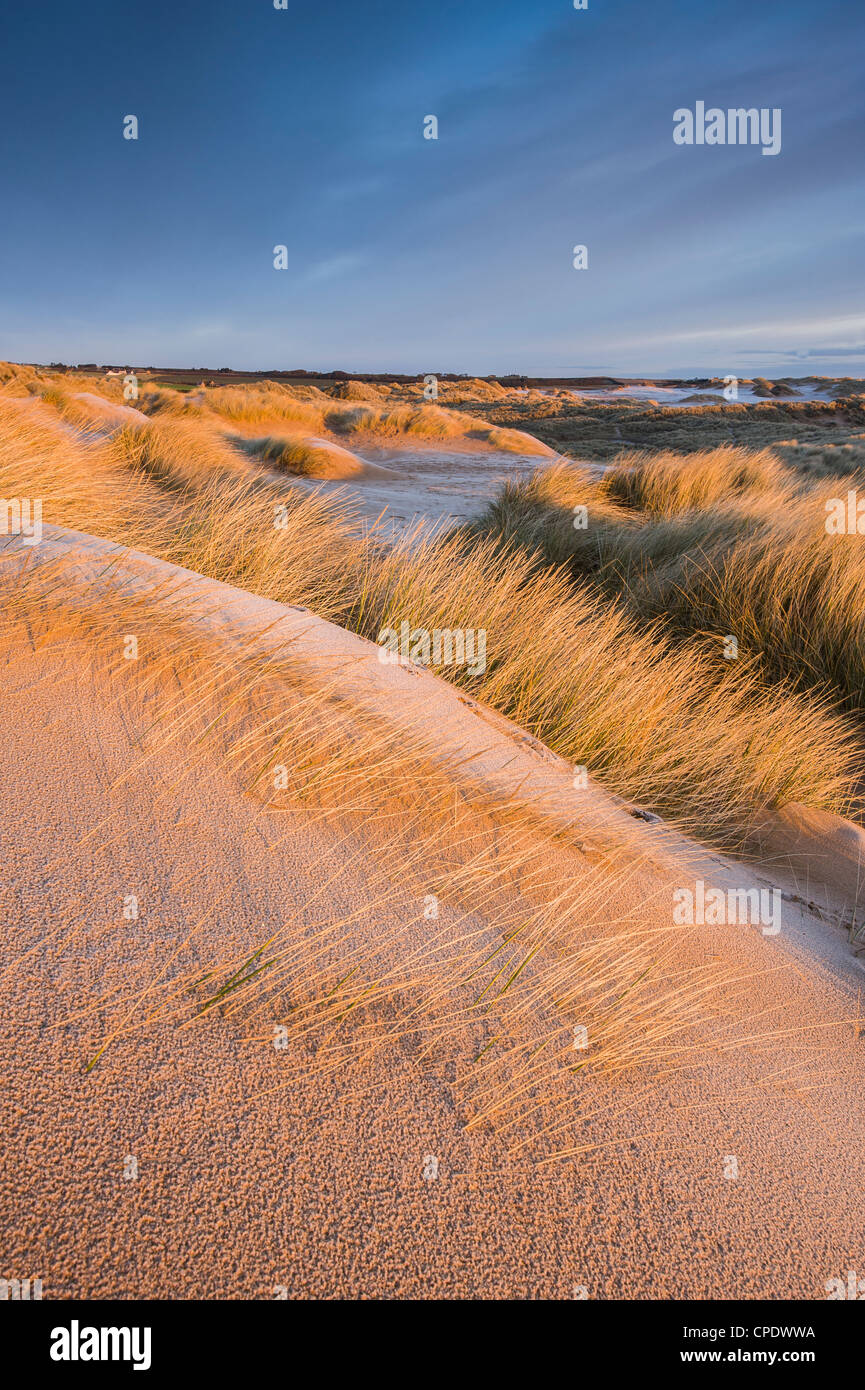 Balmedie playa al amanecer, aberdeenshire, Escocia, Reino Unido Foto de stock