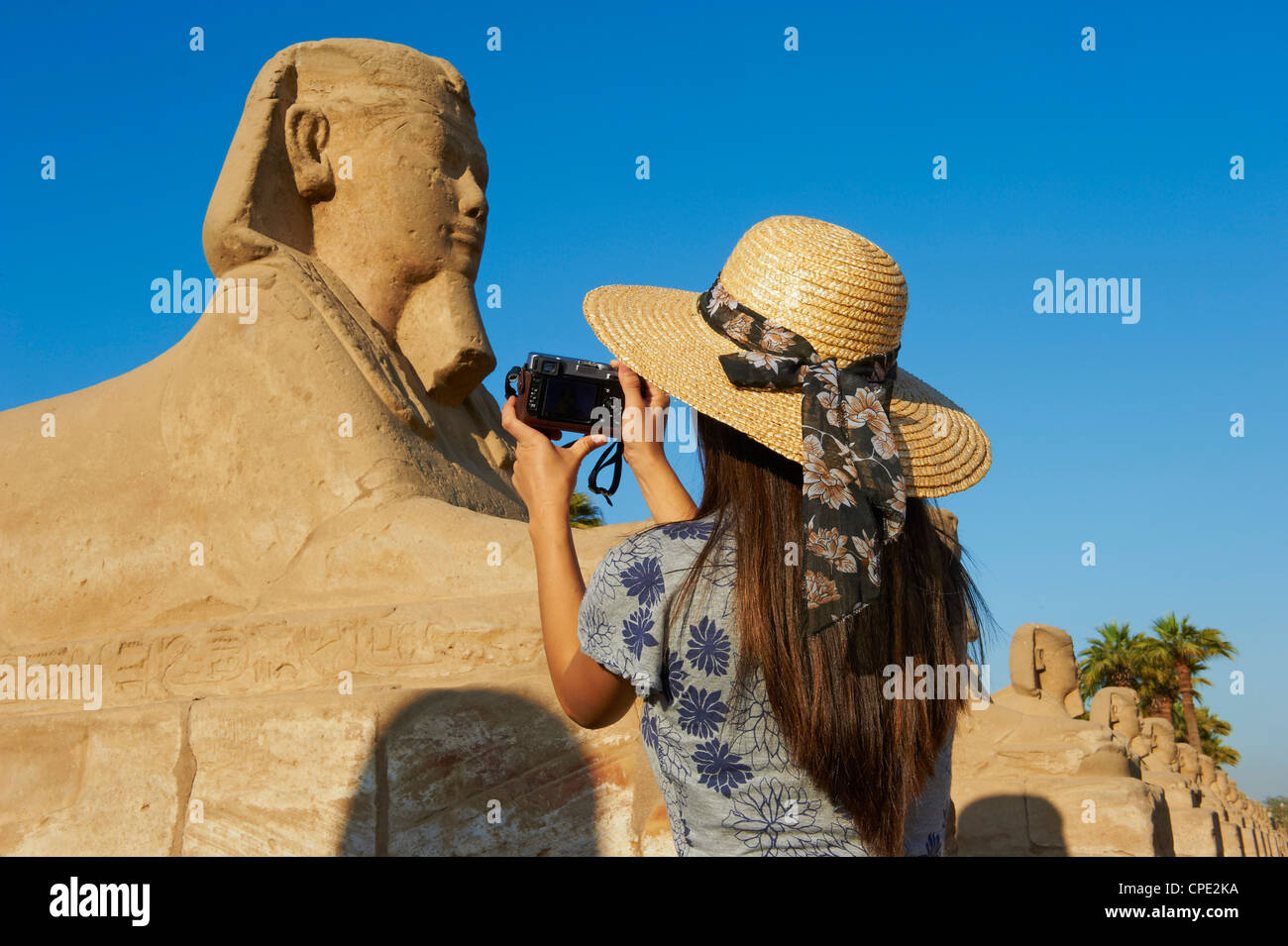 Tomando una fotografía turística en el camino de la Esfinge, el Templo de Luxor, Luxor, Tebas, Sitio del Patrimonio Mundial de la UNESCO, Egipto, África Foto de stock