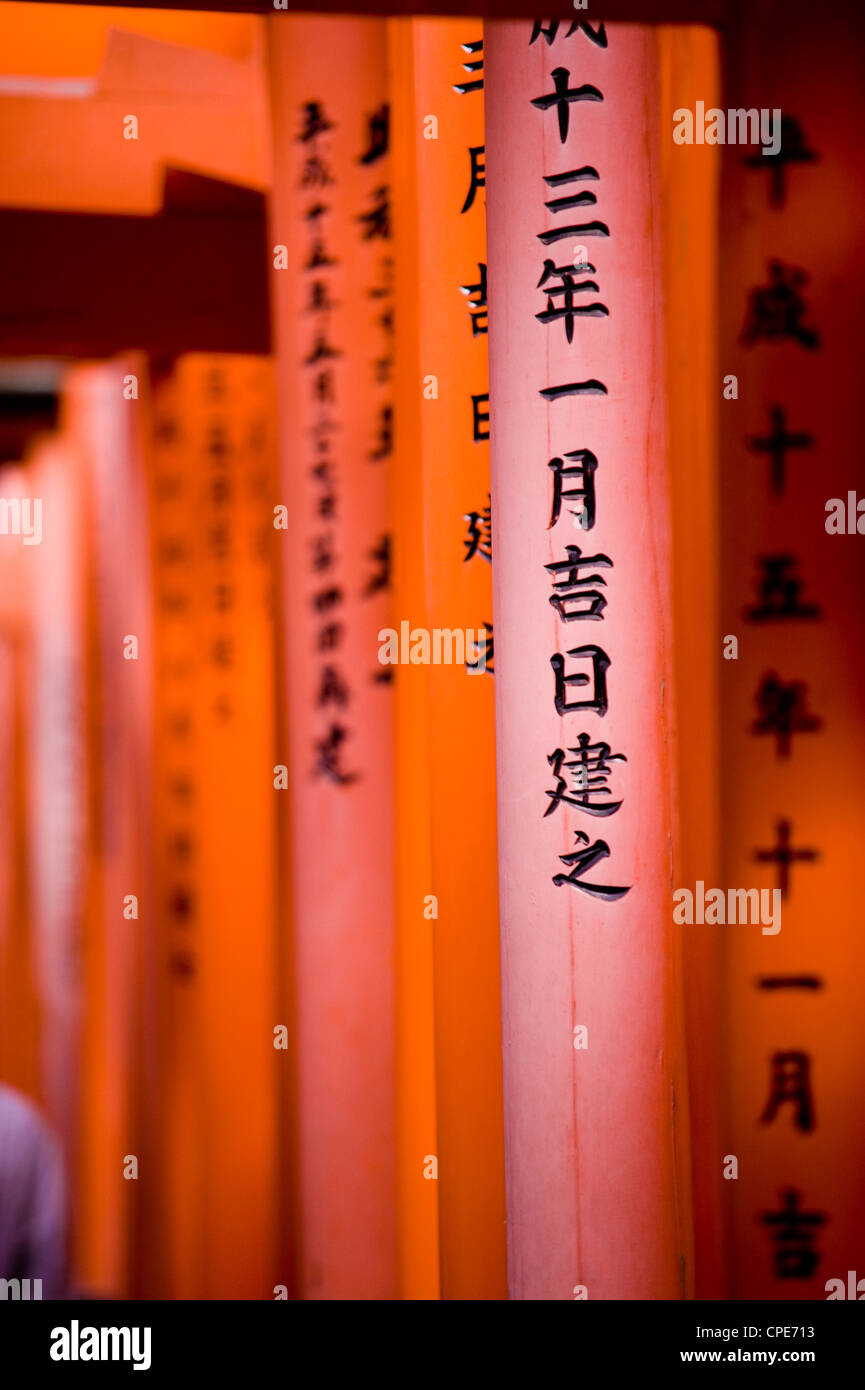 Puertas Torii Vermillion, Fushimi - Inari Taisha, Kyoto, Japón, Asia Foto de stock