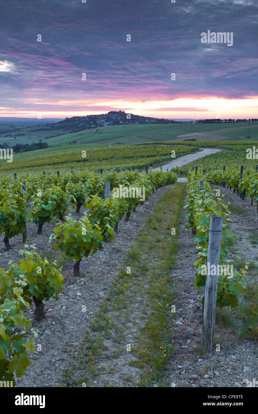 Los viñedos de Sancerre, Cher, Valle del Loira, Centro, Francia, Europa Foto de stock