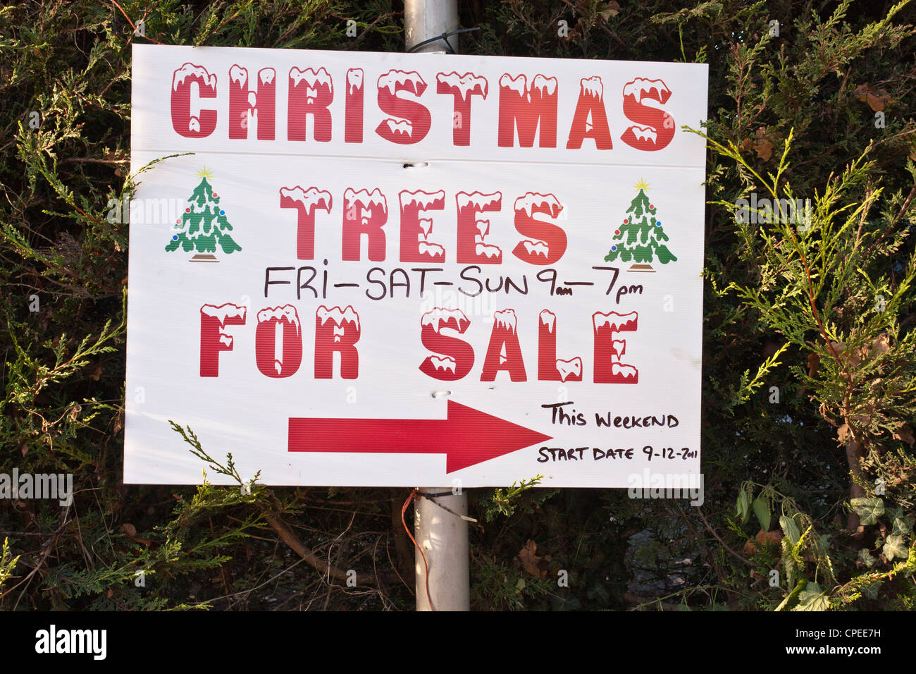 Los árboles de Navidad en venta firmar Foto de stock