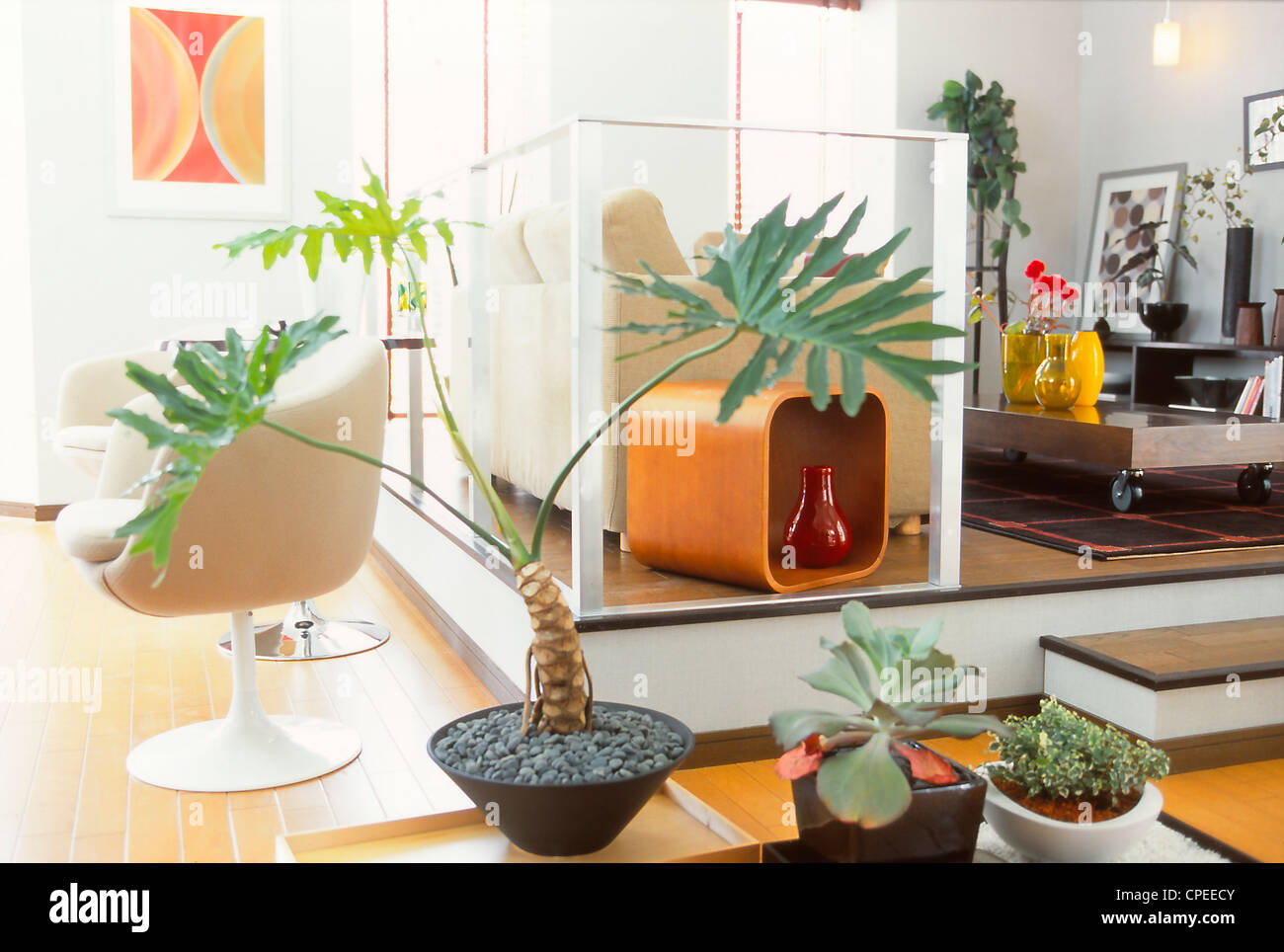 Casa moderna decorada con plantas en macetas Foto de stock